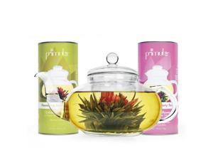 Primula KPTA-0001 Daisy Teapot w/ 24 Tea Flowers Primula KPTA-0001 Daisy Teapot w/ 24 Tea Flowers
