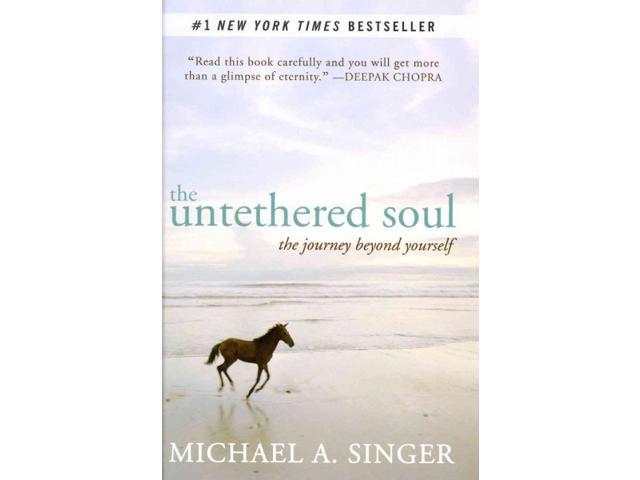 The Untethered Soul By Michael Singer Audiobook, Chapter 1