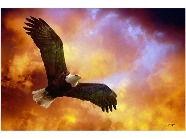 Trademark Fine Art Lois Bryan 'Flight of the Eagle' Canvas Art
