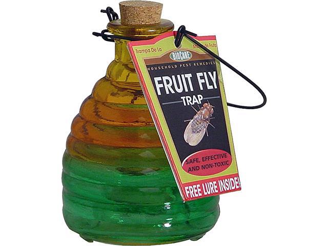 Glass Fruit Fly Trap