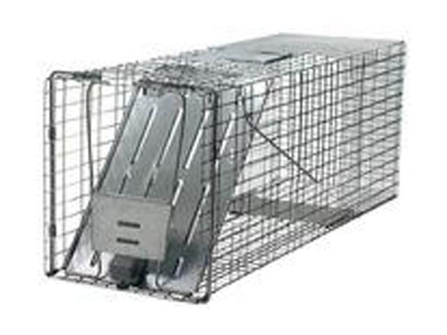 Raccoon Trap