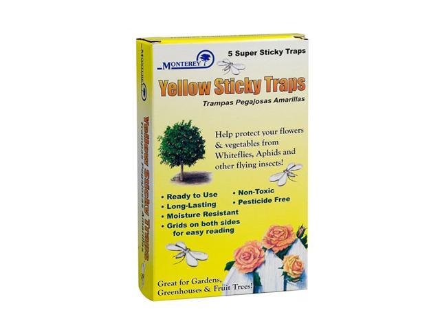 Yellow Sticky Traps
