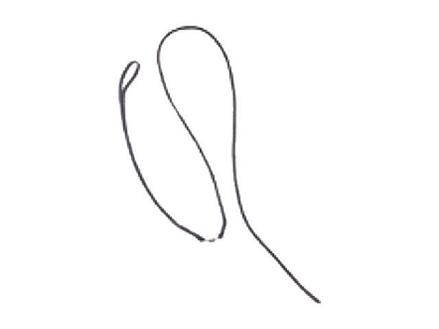 Fujitsu FMWST2 Deluxe Pen Tether (with swivel)