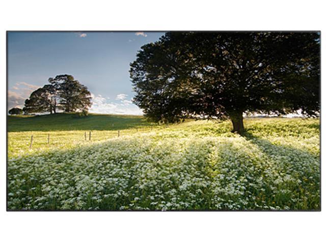 LG 47WS50MS-B 47" IPS LED 1080p Full HD Widescreen LCD Flat Panel Display