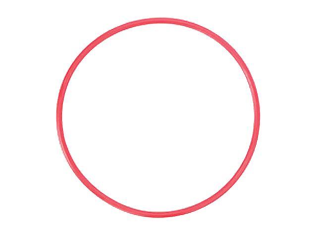 OLYMPUS 260590 O-Ring for PT-EP03 Underwater Housing