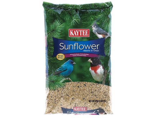 kaytee products 100033706 sunflower heart chips bird kaytee products 100033706 sunflower heart chips bird