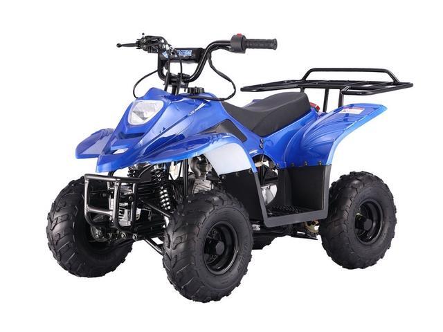 tao tao 4 wheeler 250cc