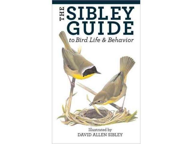the sibley guide to bird life behavior newegg com the sibley guide to bird life behavior newegg com