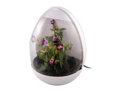 Newo corporation 051 Dream Cheeky USB Greenhouse