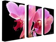 Trademark Fine Art Kathie McCurdy Orchid 3 panel Art Set