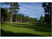 Trademark Fine Art  'afternoon On The Green' Canvas Art