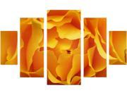 Trademark Fine Art Kurt Shaffer Hypnotic Yellow Rose Multi Panel Canvas Set