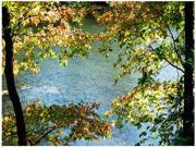 Trademark Fine Art Kurt Shaffer 'early Fall Along The River' Canvas Art