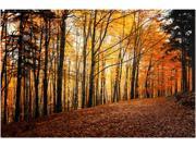 Trademark Fine Art Philippe Sainte Laudy Autumn Leaves Pathway Canvas Art