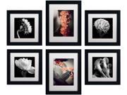 Trademark Fine Art Floral Gallery Wall Collection Set of 6