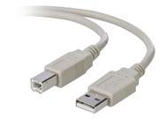 Belkin Components F3U133 10 Cdw Usb A B Device Cable