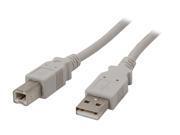 AMC CUS2 15AB 15 ft. White AM BM USB2.0 Cable