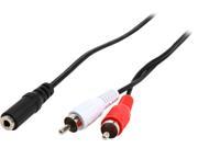 Coboc 3.5TRS Y RCA FMM 1 BK 1 Foot 3.5mm Stereo Female to Two RCA Stereo Male Y Cable