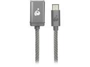 IOGEAR G2LU3CAF10 SG Charge Sync USB C to USB Type A Adapter