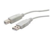 BYTECC USB2 10AB W 10 ft. Type A Male to Type B Male Cable