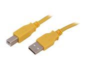 BYTECC USB2 10AB Y 10 ft. Type A Male to Type B Male Cable