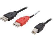 Cables To Go 28108 6 ft. USB 2.0 One B Male to Two A Male Y Cable