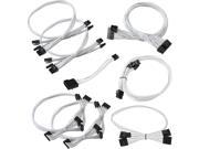 EVGA 100 CW 0650 B9 GS PS 550 650 White Power Supply Cable Set Individually Sleeved