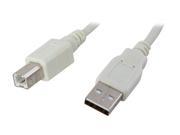Nippon Labs USB 10 AB 10 ft. USB2.0 A male to B male cable