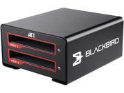 AFT BLACKBIRD VX 2SSD USB 3.1 GEN II TYPE C DUAL SSD Media dock