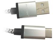 Professional Cable 6 USB C M to USB A M Silver