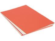 Assorted Colors Tagboard 36 X 24 Blue Canary Green Orange Pink 100