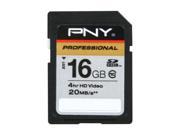 PNY Professional Series 16GB Secure Digital High-Capacity (SDHC) Flash Card