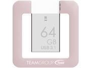 Team Group T162 64GB Theme Series High Performance Flash Drive TT162364GK01