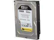 WD Re 250GB Datacenter Capacity Hard Disk Drive 7200 RPM Class SATA 6Gb s 64MB Cache 3.5 inch WD2503ABYZ
