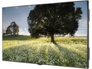LG 98LS95A 5B 98 Edge LED Widescreen 4K UHD Large Format Display With WebOS for Signage