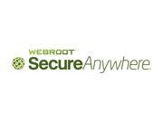 Webroot 1 Year Webroot SecureAnywhere Business Web Security Service Subscription license Commercial Minimum of 10 99 Units Must Be Purchased
