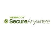 Webroot 3 Year Webroot SecureAnywhere Business Endpoint Protection Subscription license Gov Minimum of 100 249 Units Must Be Purchased