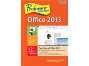 Individual Software Professor Teaches Office 2013