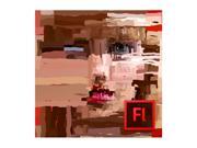 Adobe Flash Pro Cs6 For Windows - Full Version