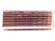 Moon Products 7928B Decorated Wood Pencil You Are Awesome HB 2 Gold Barrel Dozen