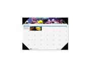 House of Doolittle 1936 Sea Life Photographic Monthly Desk Pad Calendar 18 1 2 x 13