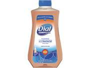 Dial Complete 1700098976 Foaming Hand Wash
