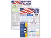 Advantus 83905 State Federal Labor Lawith Legally Required Multi Colored Poster 24 x 30