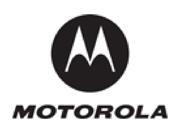 Motorola SG MC40 RHLST 01 Holster Rigid for the MC40