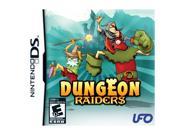 Dungeon Raiders Nintendo DS Game