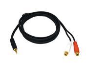 Cables To Go 40425 6 ft. One 3.5mm Stereo Male to Two RCA Stereo Female Y Cable
