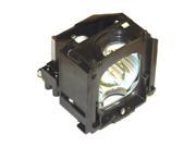 eReplacements BP96 01472A ER RPTV Lamp for Samsung