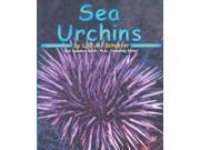Sea Urchins