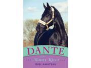 Dante of the Maury River Horses of the Maury River