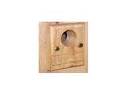 Songbird Essentials SESC6010C Guard Bluebird Box